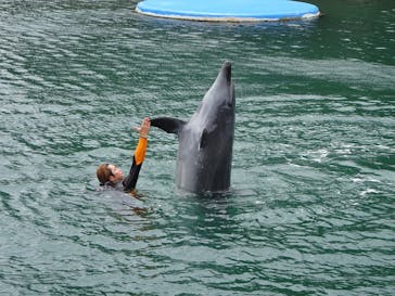 下田海中水族館に投稿された画像（2025/5/31）