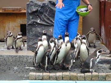 下田海中水族館に投稿された画像（2025/5/31）