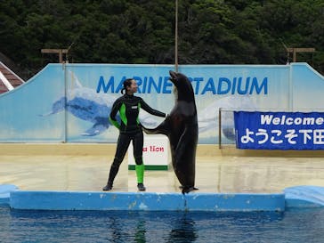 下田海中水族館に投稿された画像（2025/5/31）