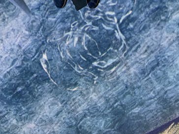 HOKUSAI : ANOTHER STORY in TOKYOに投稿された画像（2025/5/31）