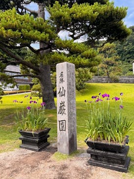 仙巌園に投稿された画像（2025/5/31）