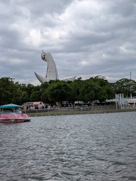 万博記念公園に投稿された画像（2025/5/31）