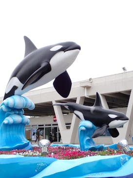 鴨川シーワールドに投稿された画像（2025/5/31）