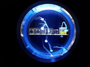 AOAO SAPPOROに投稿された画像（2025/5/31）