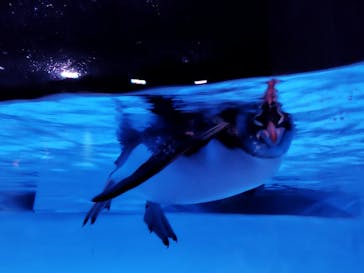 AOAO SAPPOROに投稿された画像（2025/5/31）