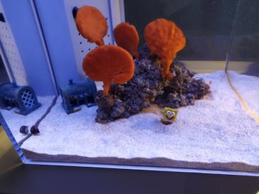 AOAO SAPPOROに投稿された画像（2025/5/31）