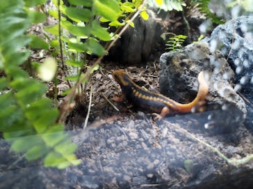 AOAO SAPPOROに投稿された画像（2025/5/31）