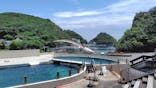 太地町立くじらの博物館に投稿された画像（2025/6/1）