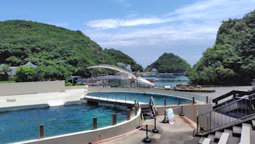 太地町立くじらの博物館に投稿された画像（2025/5/31）