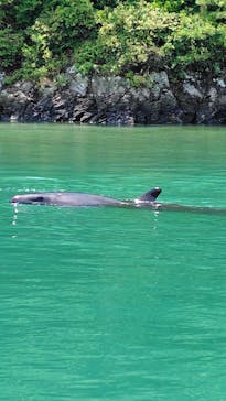 太地町立くじらの博物館に投稿された画像（2025/5/31）