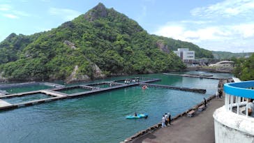 太地町立くじらの博物館に投稿された画像（2025/5/31）