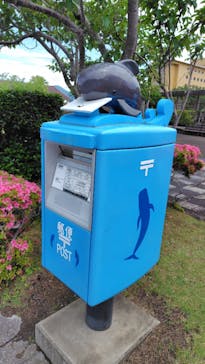 太地町立くじらの博物館に投稿された画像（2025/5/31）