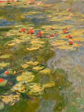 モネ　睡蓮のときに投稿された画像（2025/5/31）