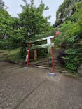 ACAO FORESTに投稿された画像（2025/6/1）