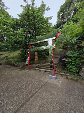 ACAO FORESTに投稿された画像（2025/5/31）