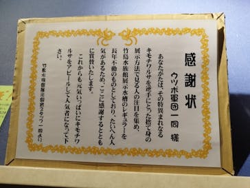 竹島水族館に投稿された画像（2025/6/1）