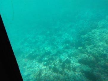 串本海中公園水族館に投稿された画像（2025/6/1）