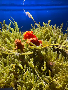 仙台うみの杜水族館に投稿された画像（2025/6/1）