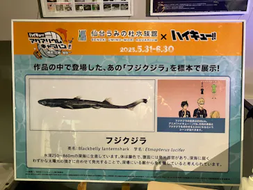 仙台うみの杜水族館に投稿された画像（2025/6/1）