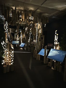 HOKUSAI : ANOTHER STORY in TOKYOに投稿された画像（2025/6/1）