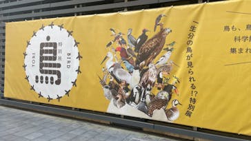 特別展「鳥～ゲノム解析が解き明かす新しい鳥類の系統～」に投稿された画像（2025/6/1）