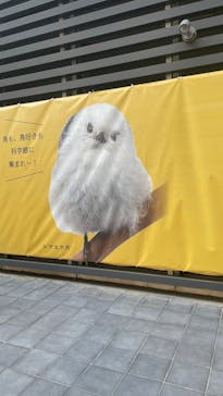 特別展「鳥～ゲノム解析が解き明かす新しい鳥類の系統～」に投稿された画像（2025/6/1）