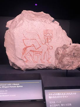 ACN ラムセス大王展 ファラオたちの黄金に投稿された画像（2025/6/1）