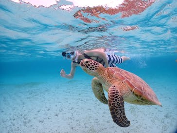 宮古島マリンショップSmileyに投稿された画像（2025/6/1）