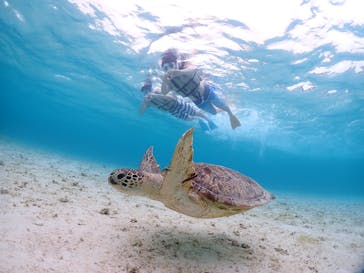 宮古島マリンショップSmileyに投稿された画像（2025/6/1）