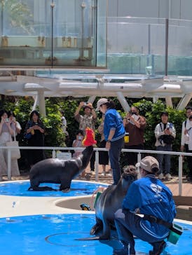 サンシャイン水族館に投稿された画像（2025/6/1）