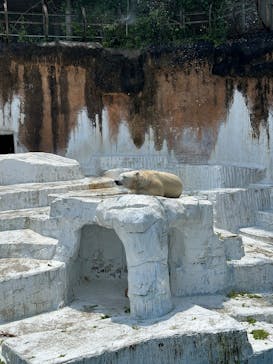 天王寺動物園に投稿された画像（2025/6/1）