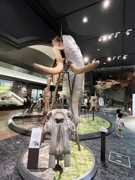 滋賀県立琵琶湖博物館に投稿された画像（2025/6/1）