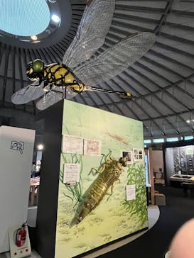 滋賀県立琵琶湖博物館に投稿された画像（2025/6/1）