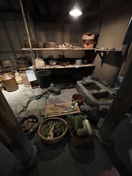 滋賀県立琵琶湖博物館に投稿された画像（2025/6/1）