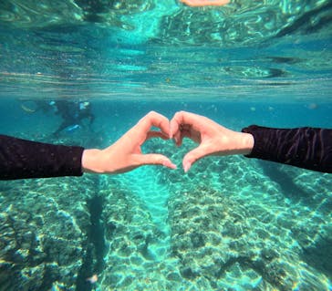 沖縄マリンサービス碧に投稿された画像（2025/6/1）