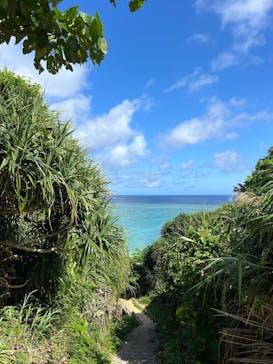 沖縄マリンサービス碧に投稿された画像（2025/6/1）