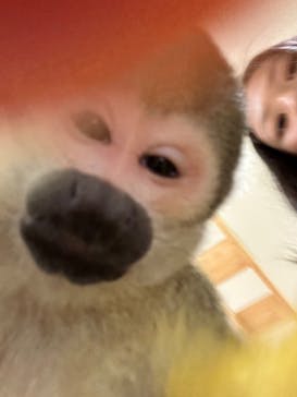 アニタッチアクアシティお台場に投稿された画像（2025/6/1）