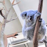 多摩動物公園に投稿された画像（2025/6/1）