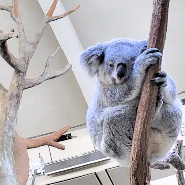 多摩動物公園に投稿された画像（2025/6/1）