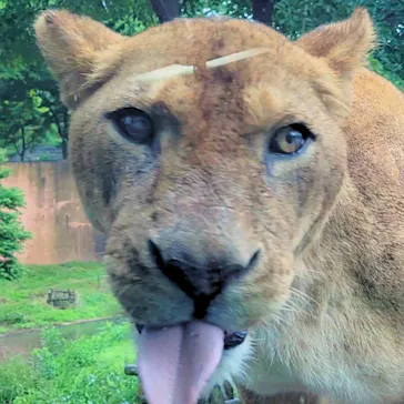 多摩動物公園に投稿された画像（2025/6/1）