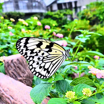 多摩動物公園に投稿された画像（2025/6/1）
