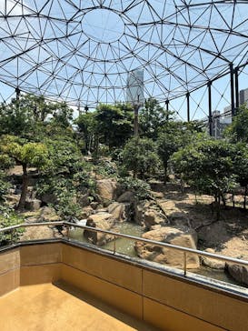 天王寺動物園に投稿された画像（2025/6/1）