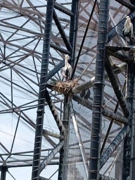 天王寺動物園に投稿された画像（2025/6/1）