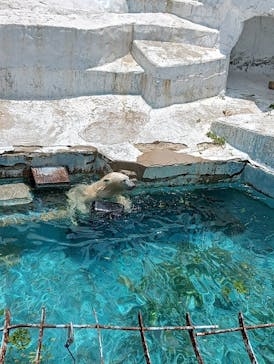 天王寺動物園に投稿された画像（2025/6/1）