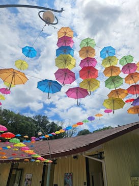 ムーミンバレーパークに投稿された画像（2025/6/1）