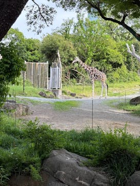天王寺動物園に投稿された画像（2025/6/1）