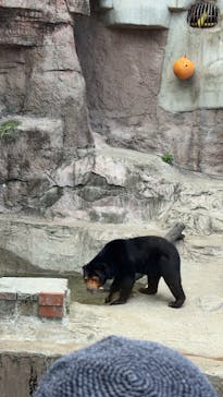 天王寺動物園に投稿された画像（2025/6/1）