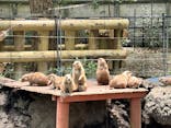 恩賜上野動物園に投稿された画像（2025/6/1）