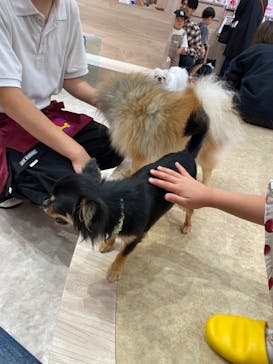 いぬカフェRio 富士見店に投稿された画像（2025/6/1）