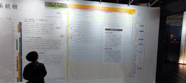 特別展「鳥～ゲノム解析が解き明かす新しい鳥類の系統～」に投稿された画像（2025/6/1）